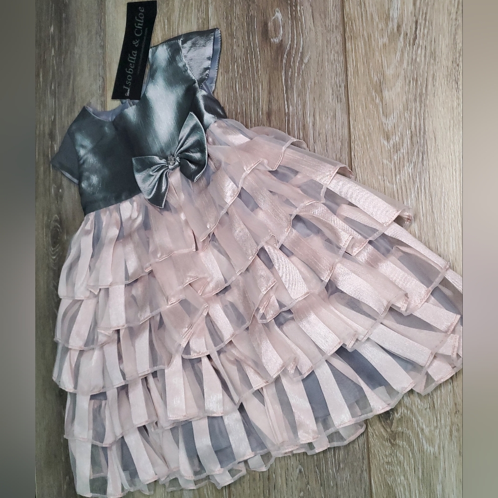 Isobella and Chloe baby's formal gray and pink ruffled dress Size 12 month - Picture 2 of 8